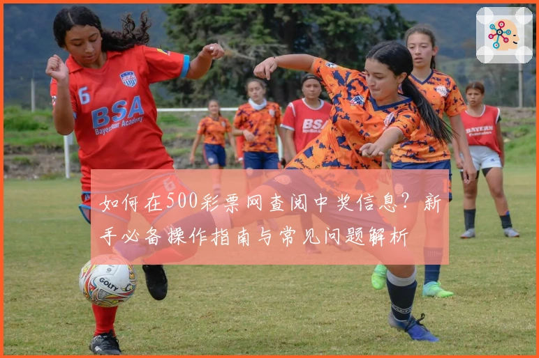 如何在500彩票网查阅中奖信息？新手必备操作指南与常见问题解析