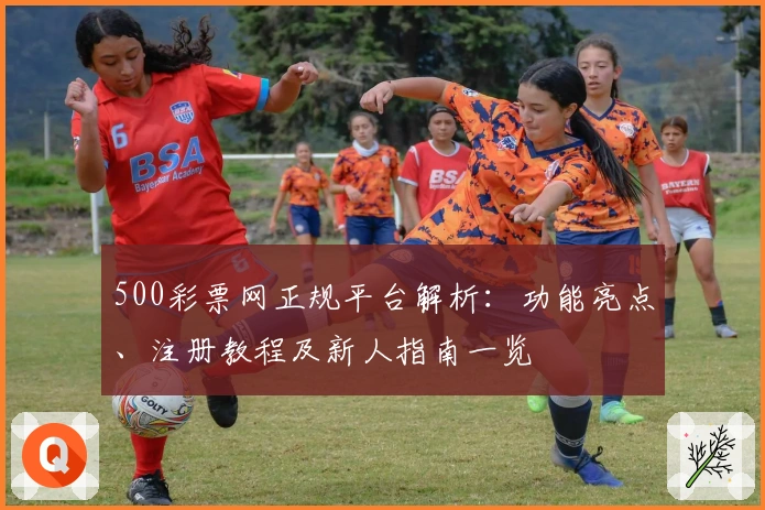500彩票网正规平台解析：功能亮点、注册教程及新人指南一览