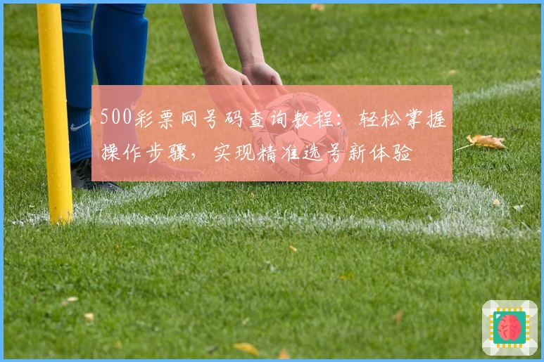 500彩票网号码查询教程:轻松掌握操作步骤,实现精准选号新体验