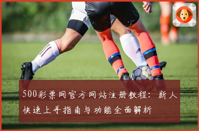 500彩票网官方网站注册教程:新人快速上手指南与功能全面解析